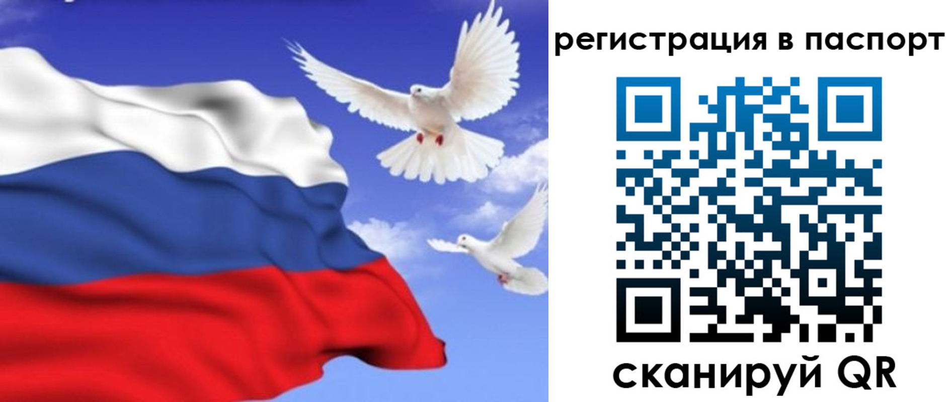 купить прописку в Кодинске